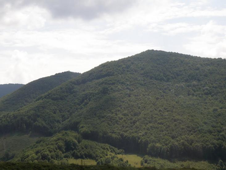 Вовчий з panoramio.com - Волчий