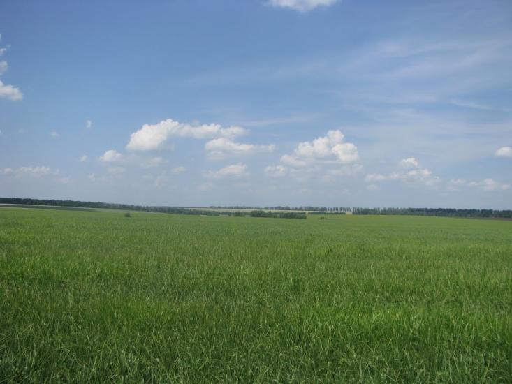 Аркушине з panoramio.com - Аркушино