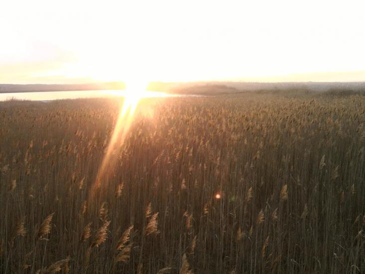 Ясинувата з panoramio.com - Ясинувата