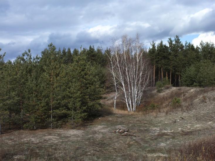 Красний Лиман з panoramio.com - Krasny Lyman
