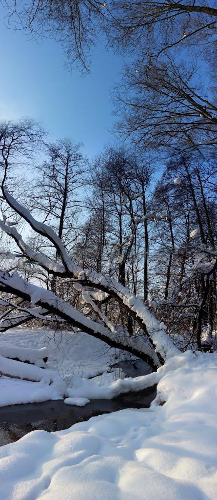 Симони з panoramio.com - Симони