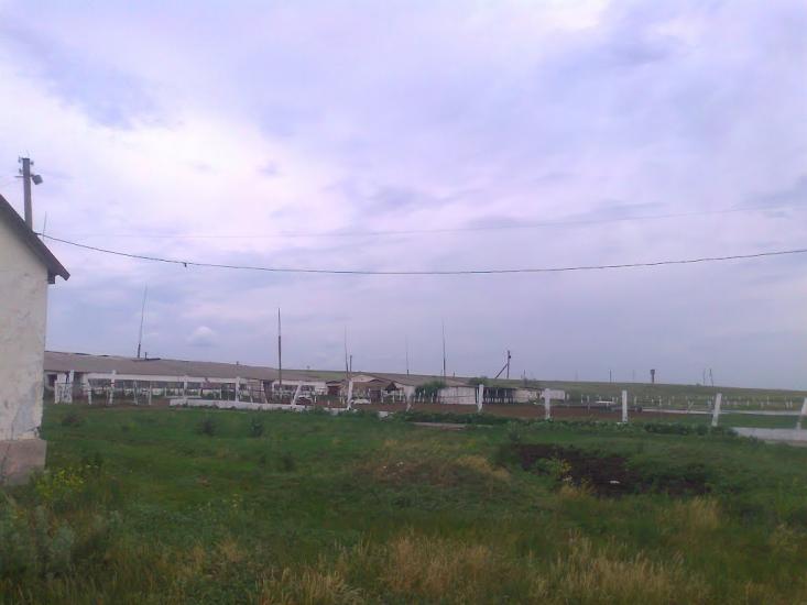 Новоганнівка з panoramio.com - Новоганнівка