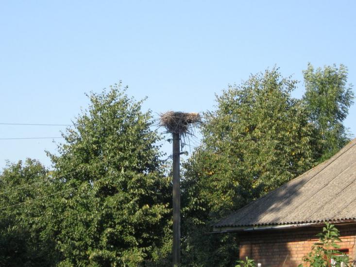 Лугове з panoramio.com - Луговое