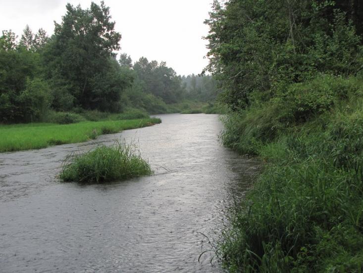 Лопатичі з panoramio.com - Лопатичи