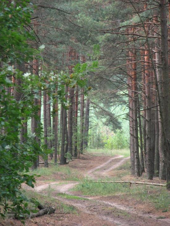 Славутич з panoramio.com - Славутич