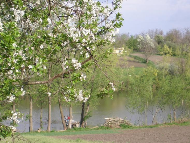 Чернятка з panoramio.com - Чернятка