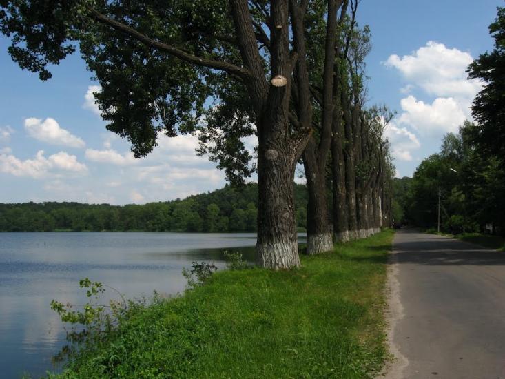 Івано-Франкове з panoramio.com - Ивано-Франково