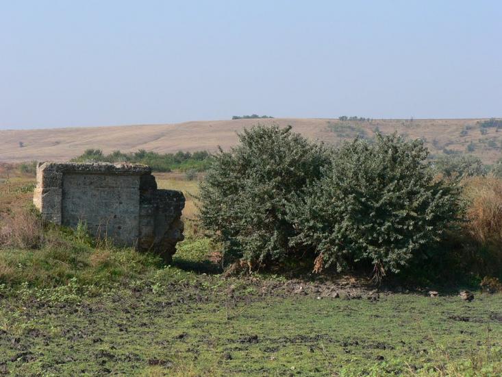 Бринівка з panoramio.com - Бринівка