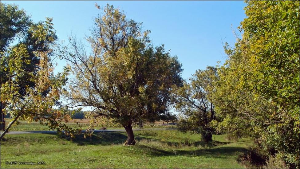 Званівка з panoramio.com - Звановка