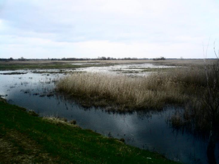 Нехвороща з panoramio.com - Нехвороща