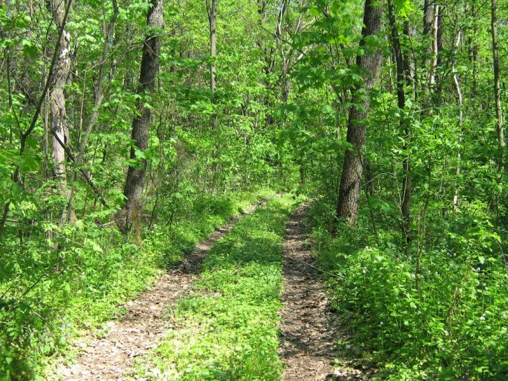 Криничне з panoramio.com - Криничне