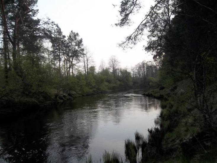 Лопатичі з panoramio.com - Лопатичи