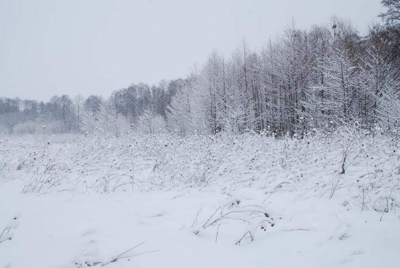 Вітрівка з panoramio.com - Вітрівка