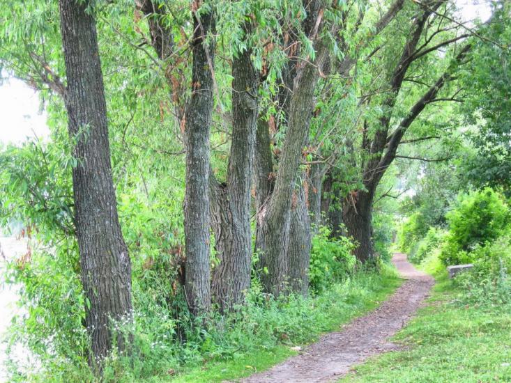 Борзна з panoramio.com - Борзна