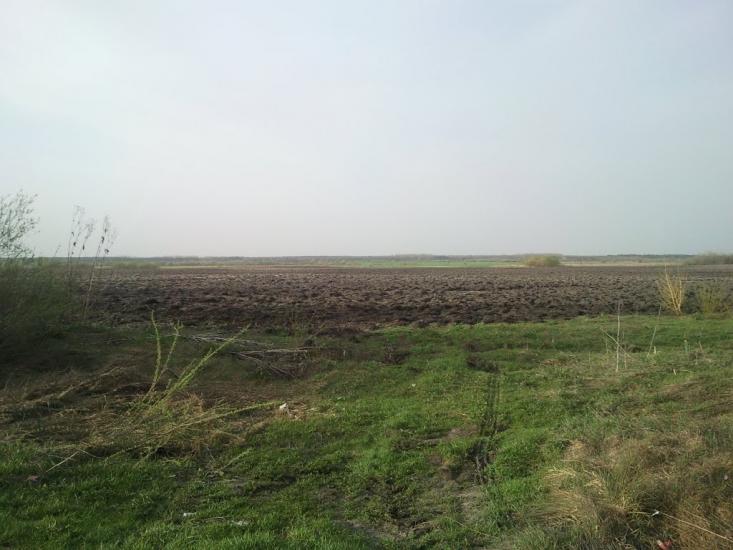 Піддубці з panoramio.com - Піддубці