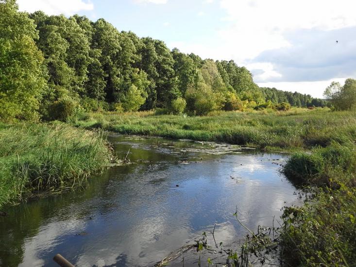 Скригалівка з panoramio.com - Skrygalivka