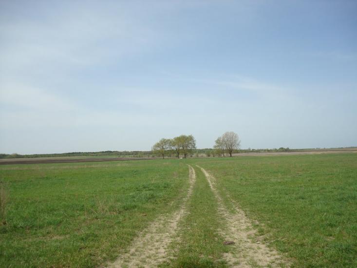 Вівчицьк з panoramio.com - Вовчицк