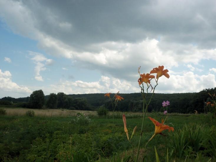 Буланове з panoramio.com - Буланово