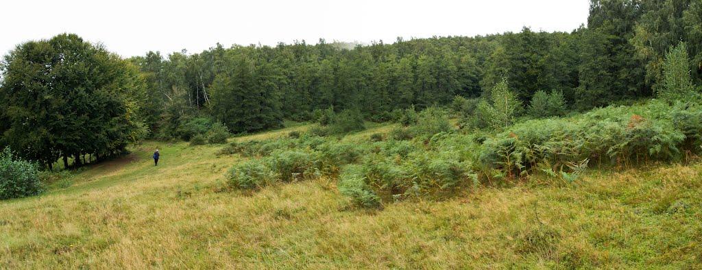 Підгірне з panoramio.com - Підгірне