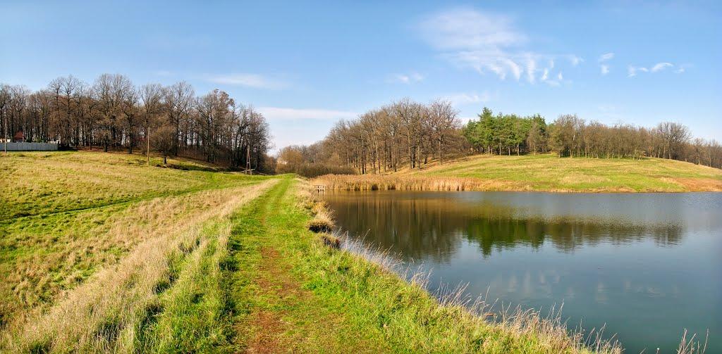 Люботин з panoramio.com - Люботин