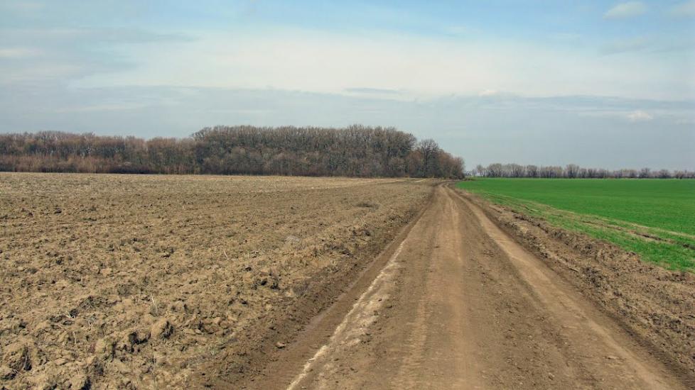 Несваткове з panoramio.com - Nesvatkove