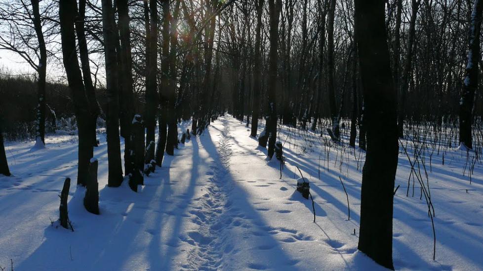 Піски з panoramio.com - Пески