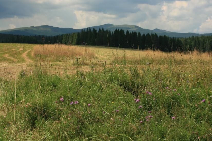 Біньова з panoramio.com - Binova