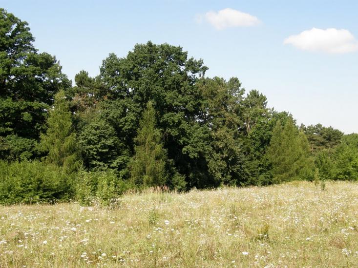 Теребовля з panoramio.com - Теребовля