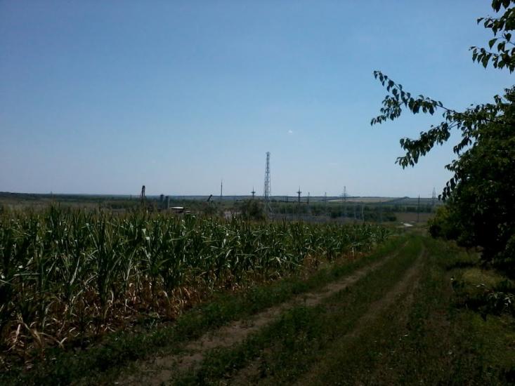 Росішки з panoramio.com - Росішки
