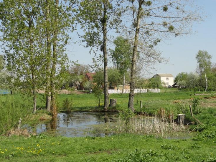 Піддубці з panoramio.com - Піддубці
