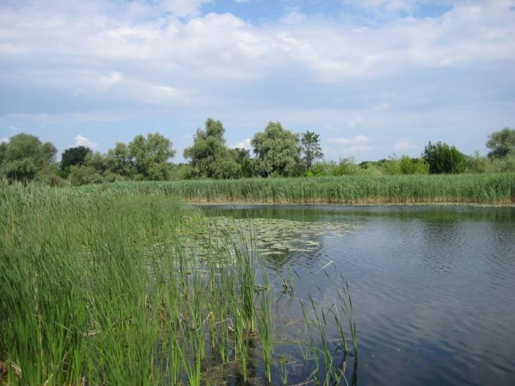 Кринки з panoramio.com - Кринки