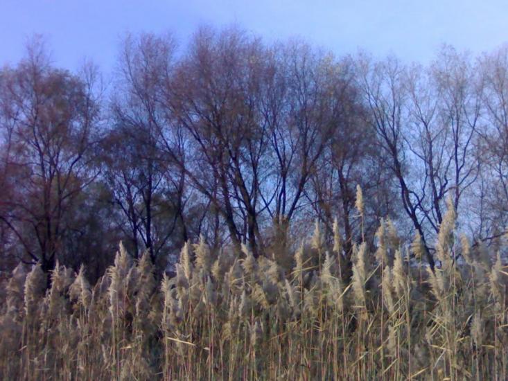 Люботин з panoramio.com - Люботин