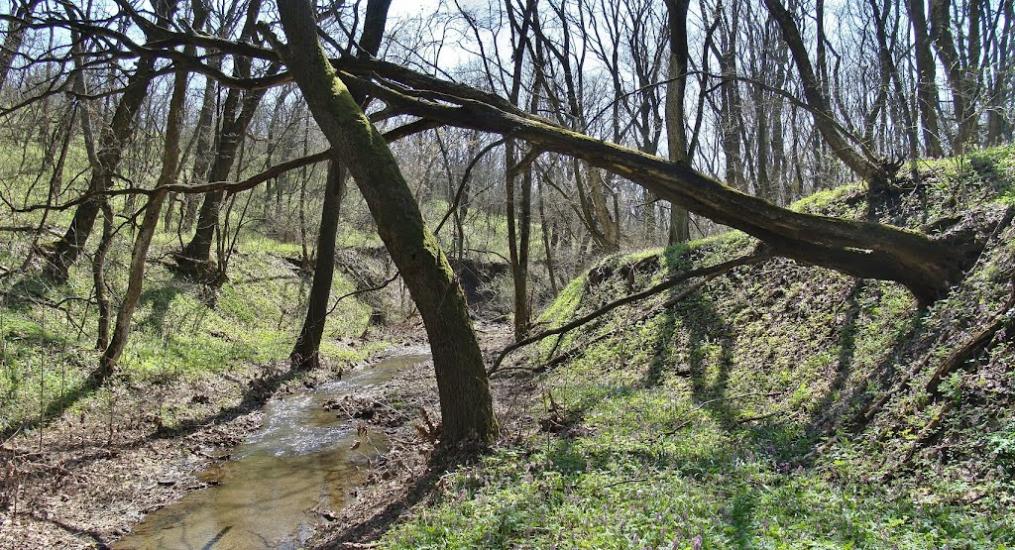 Русько-Орлівка з panoramio.com - Русско-Орловка