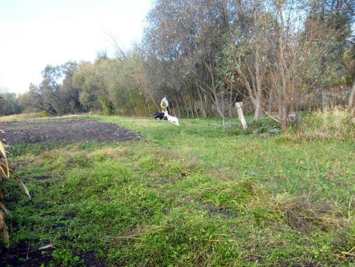 Мала Виска з panoramio.com - Малая Виска