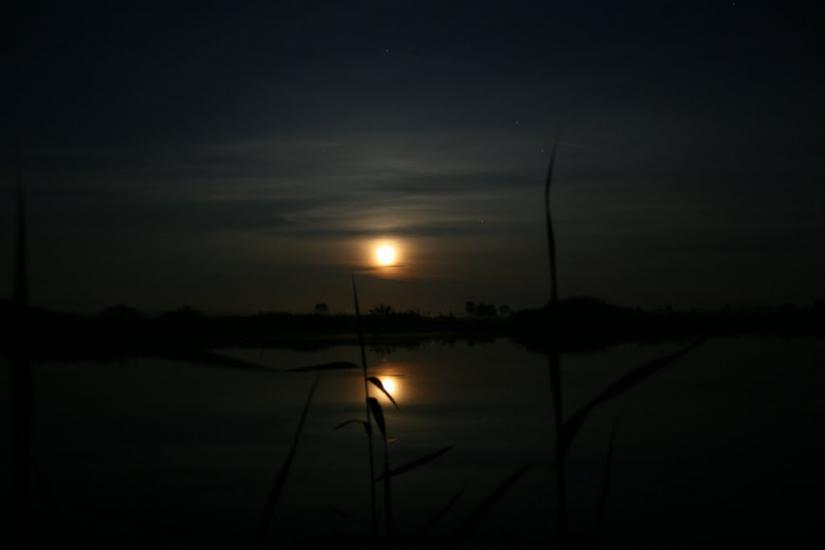 Проців з panoramio.com - Процев