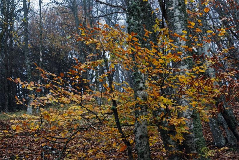 Поворотне з panoramio.com - Поворотное