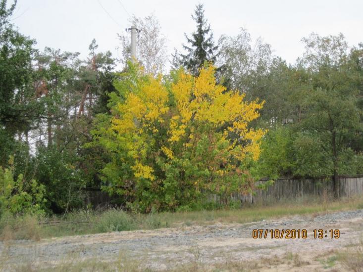 Проців з panoramio.com - Процев