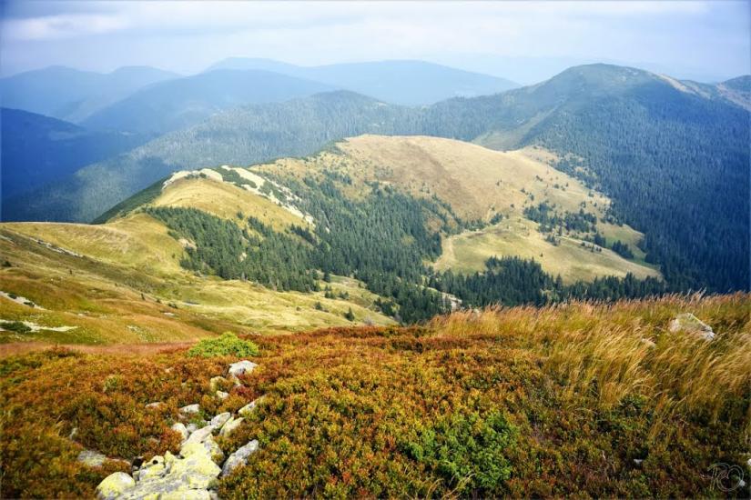 Заверхня Кичера з panoramio.com - Заверхня Кичера