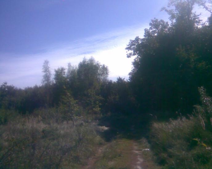 Сухоліси з panoramio.com - Sukholisy