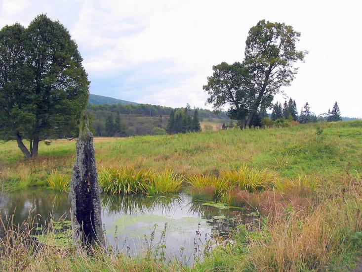 Біньова з panoramio.com - Біньова