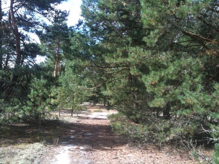 Волиця з panoramio.com - Волиця