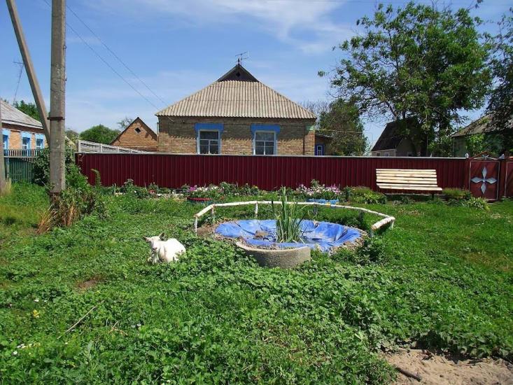 Розаліївка з panoramio.com - Розаліївка