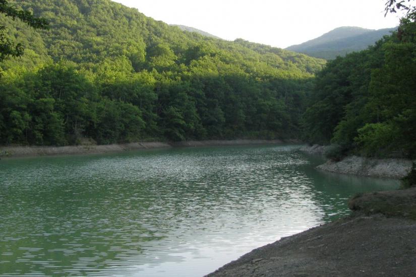 Ворон з panoramio.com - Ворон