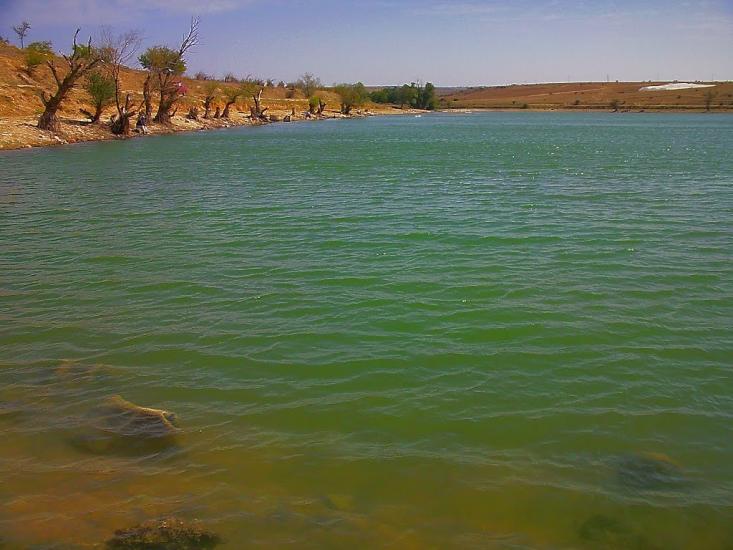 Кочергіне з panoramio.com - Кочергино