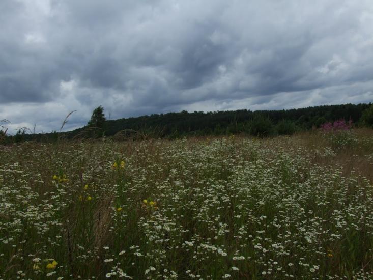Франкопіль з panoramio.com - Франкопіль