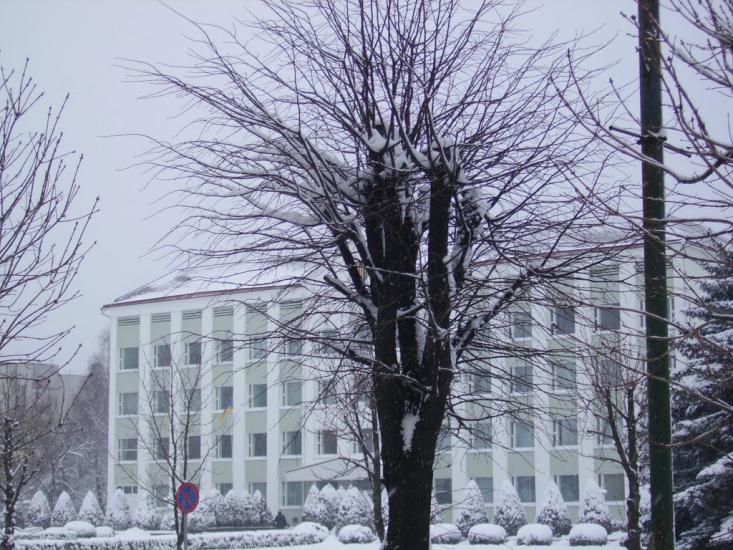 Мала Тур'я з panoramio.com - Малая Турья