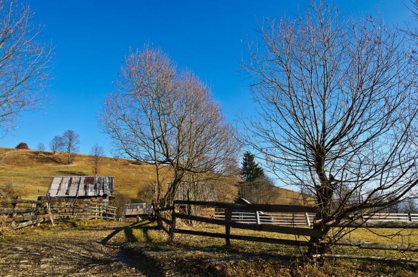 Чорна Тиса з panoramio.com - Черная Тиса