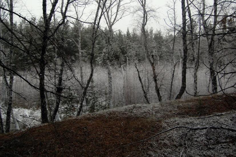 Воронове з panoramio.com - Воронове
