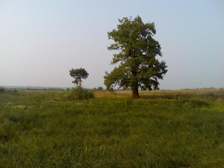 Гірки з panoramio.com - Горки