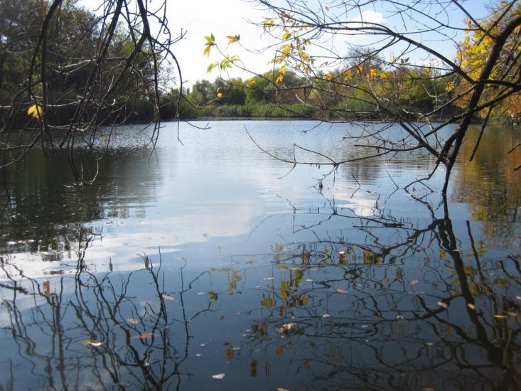Кринки з panoramio.com - Кринки